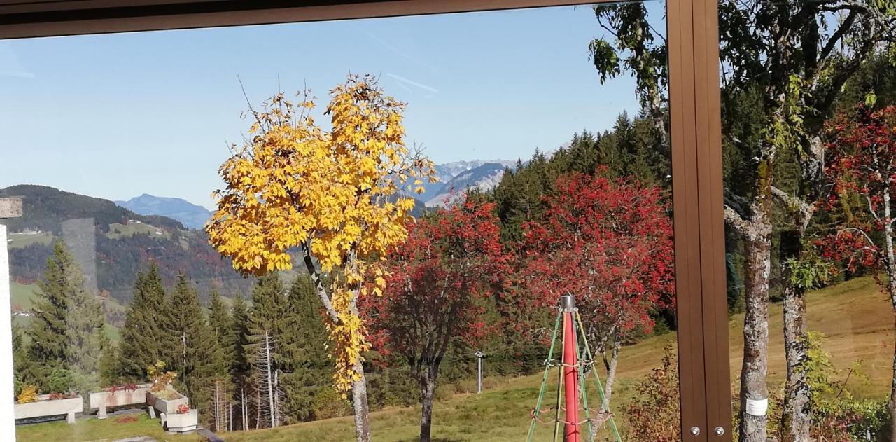 Berghaus Koglmoos Hotel Auffach Exterior photo